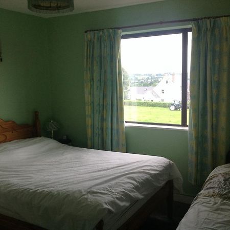 Hill View B&B Silvermines 외부 사진